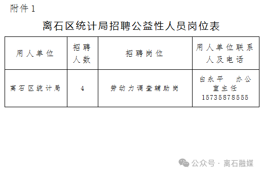 石龙区统计局最新招聘信息与招聘细节全面解析